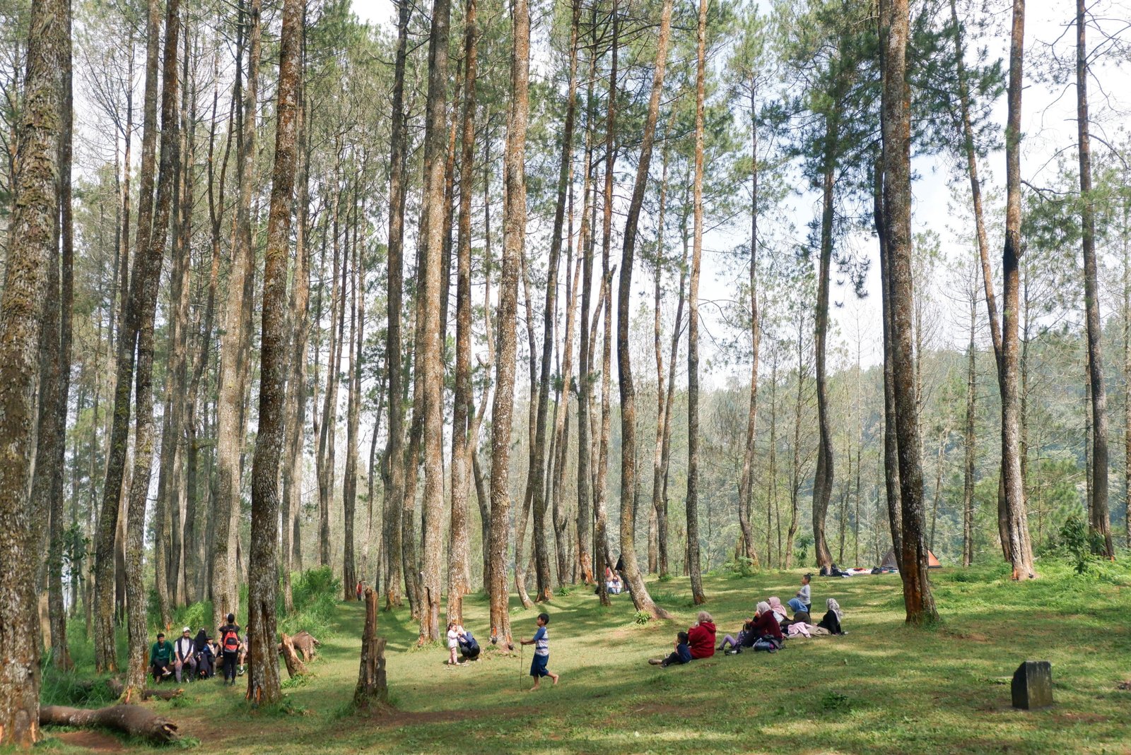 Nature Activity 1