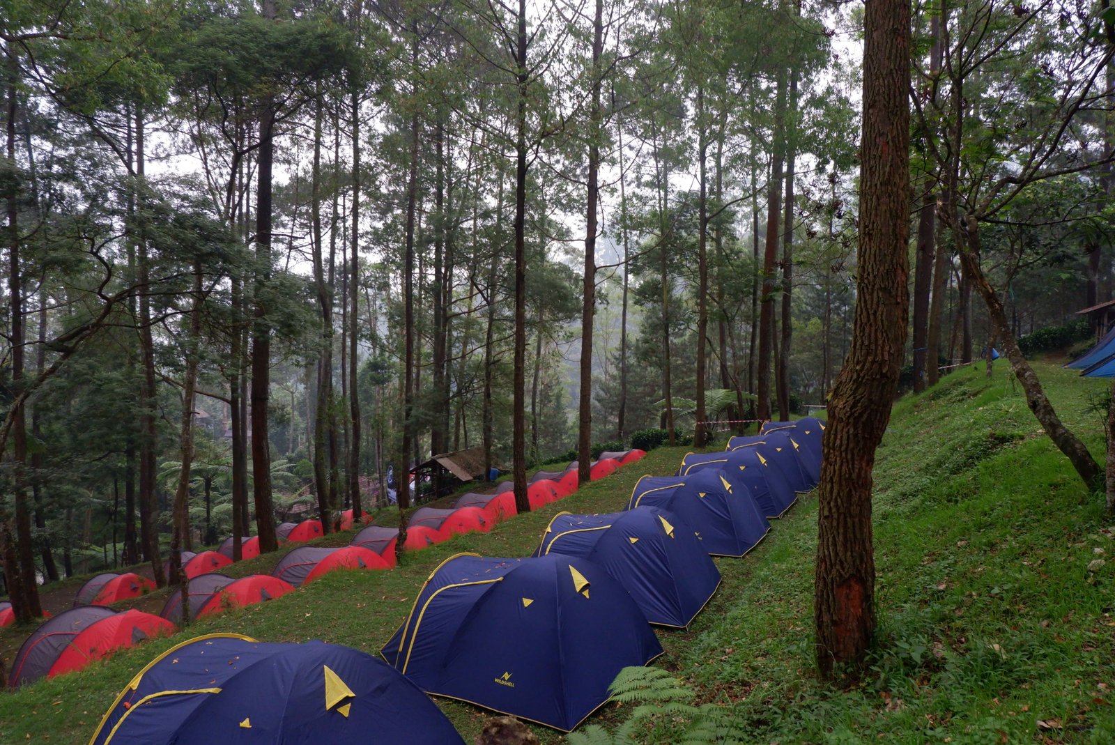 Camping Activity 1