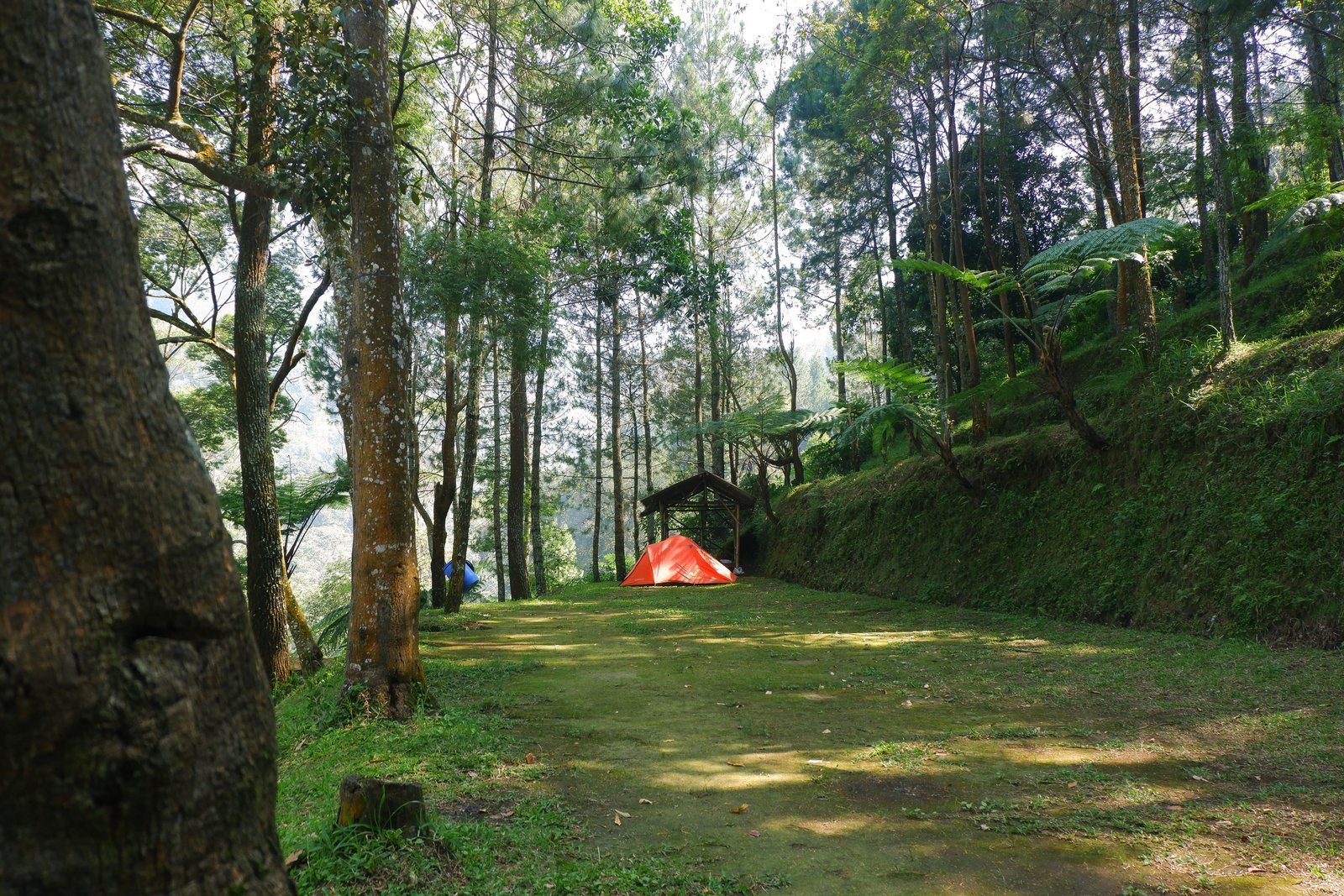 Camping Activity 1