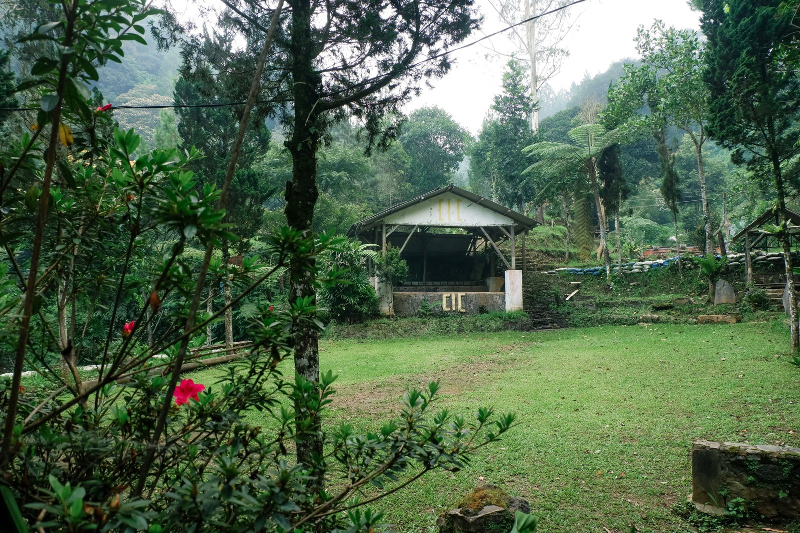 Gallery 2